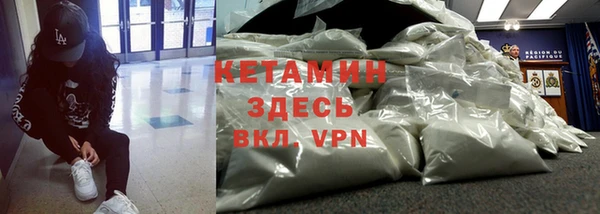 трава Абаза