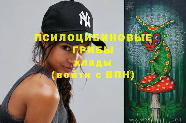 шишки Абинск
