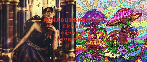 трава Абаза