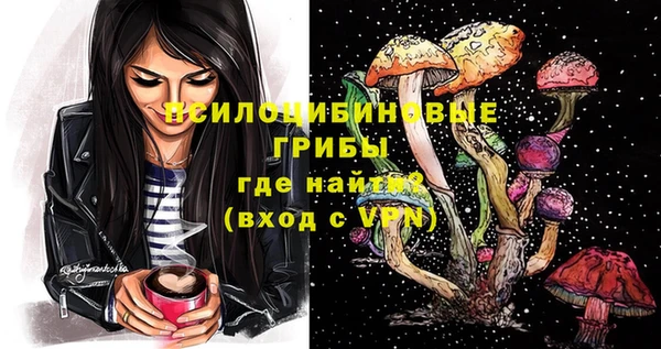 шишки Абинск