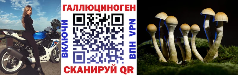 Псилоцибиновые грибы прущие грибы  Советская Гавань 